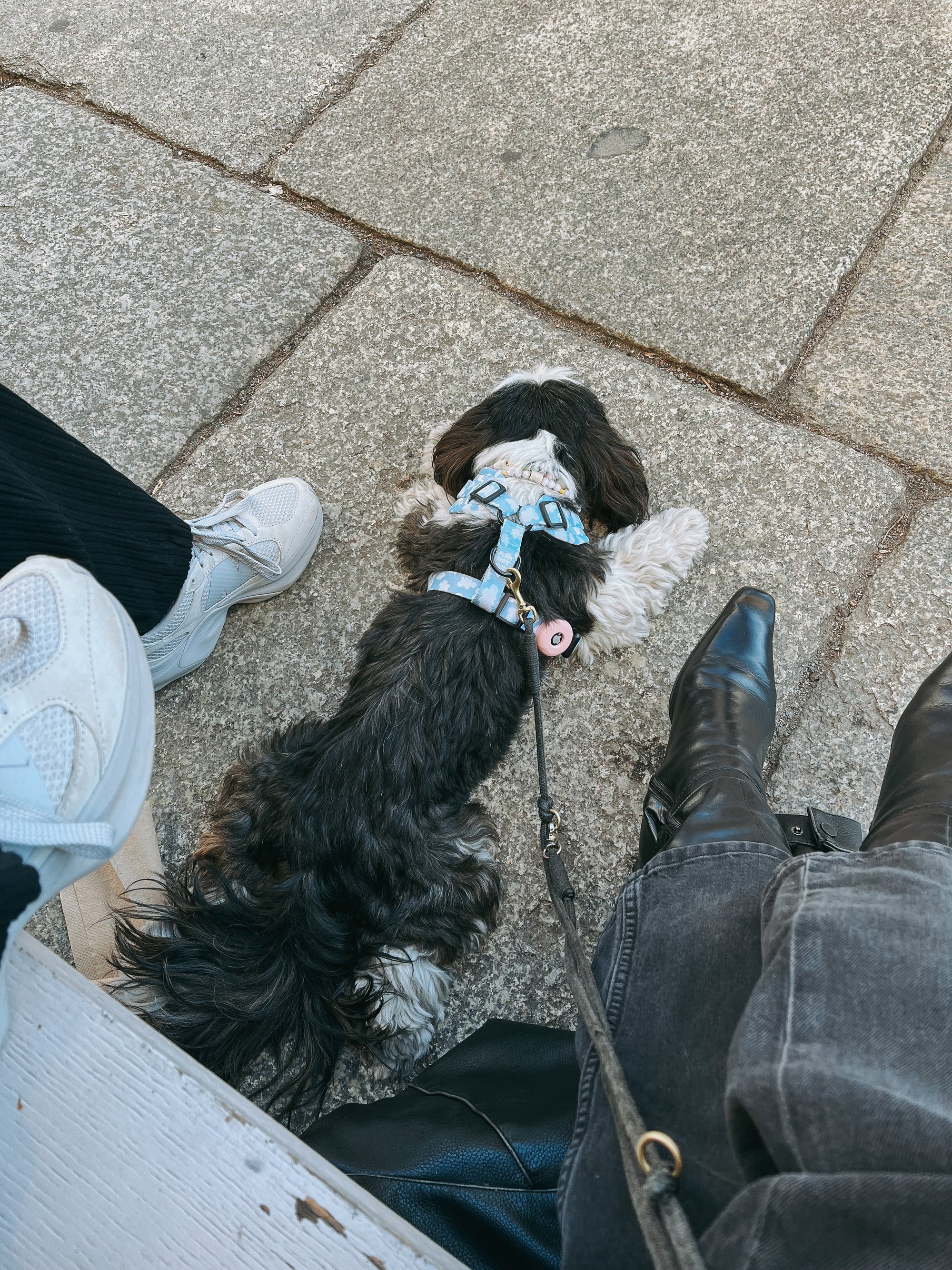 Schutzhülle AirTag für Hundegeschirr und Hundehalsband | rosa