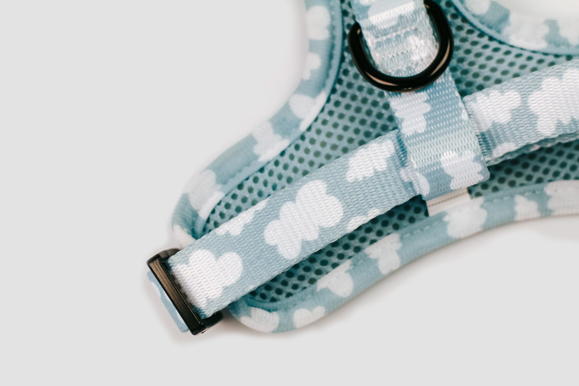 Hundegeschirr Himmel Wolken hellblau