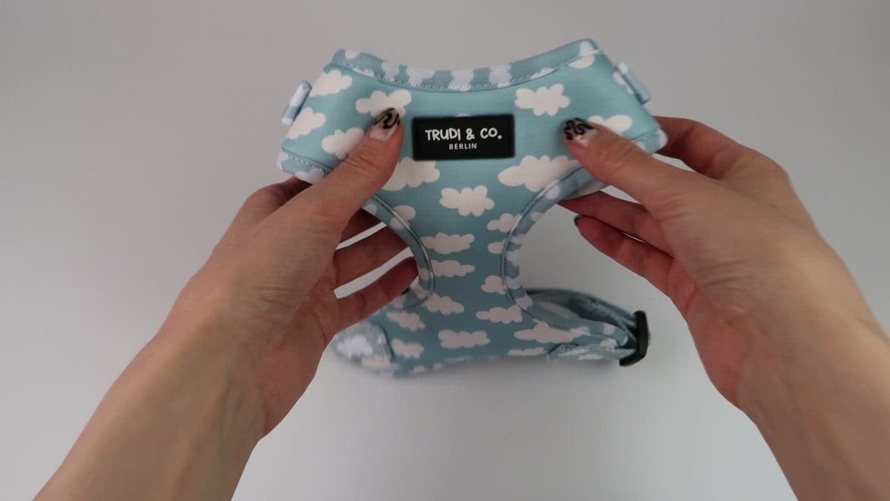 Hundegeschirr Himmel Wolken hellblau