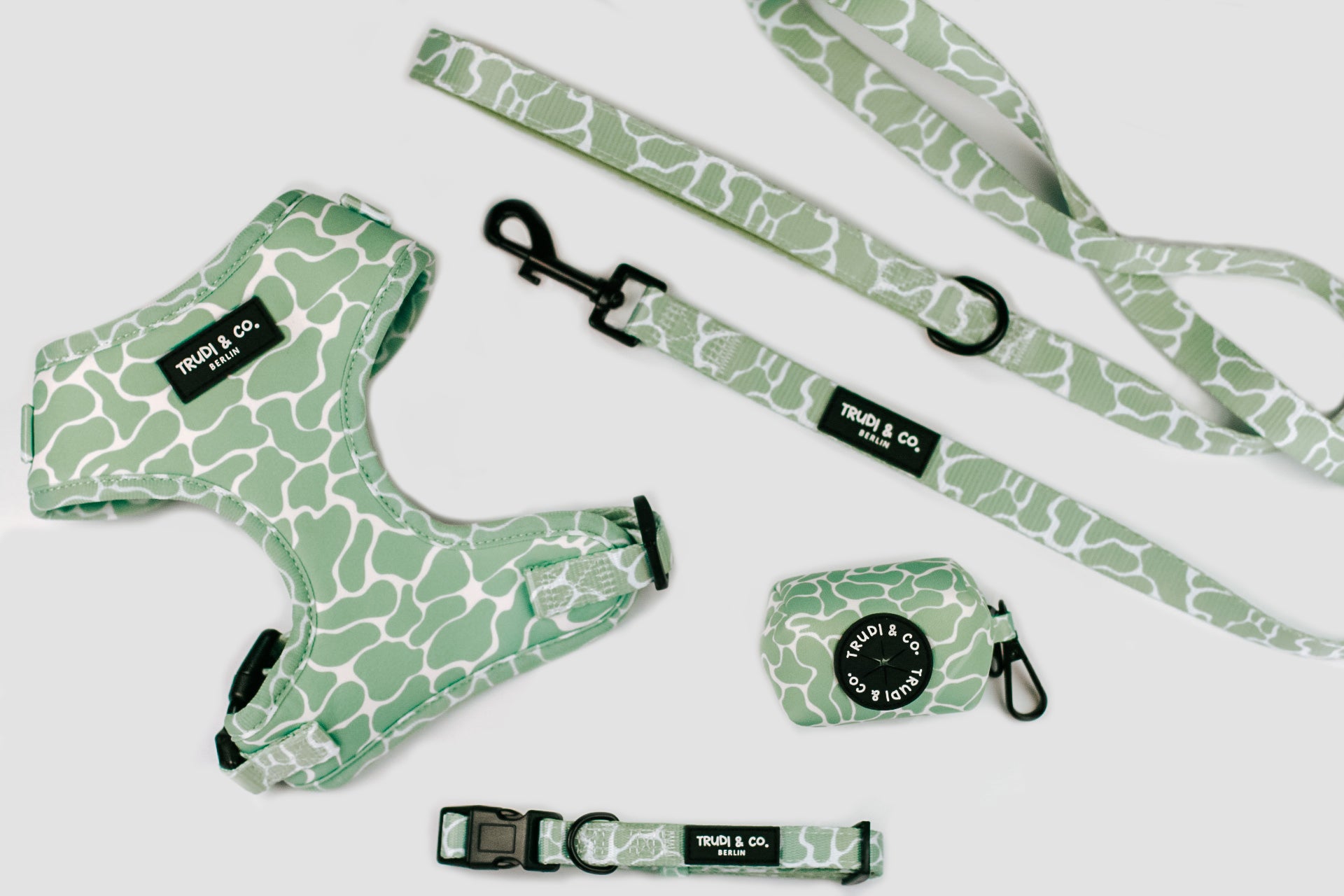 Set Hundeaccessoires bestehend aus Geschirr, Leine, Halsband, Kotbeutelspender in Schlangen Optik Design in mint grün salbei