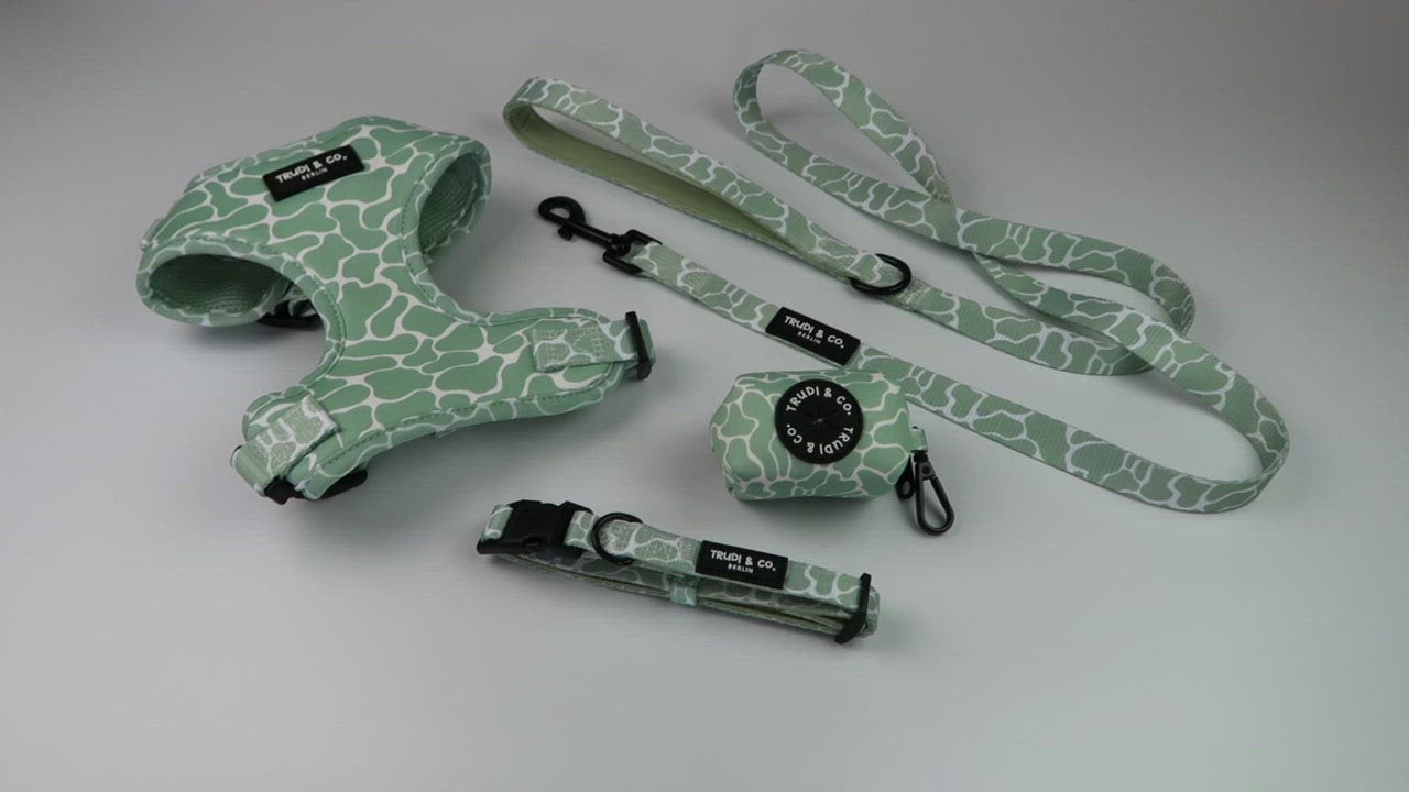 Set Hundeaccessoires bestehend aus Geschirr, Leine, Halsband, Kotbeutelspender in Schlangen Optik Design in mint grün salbei