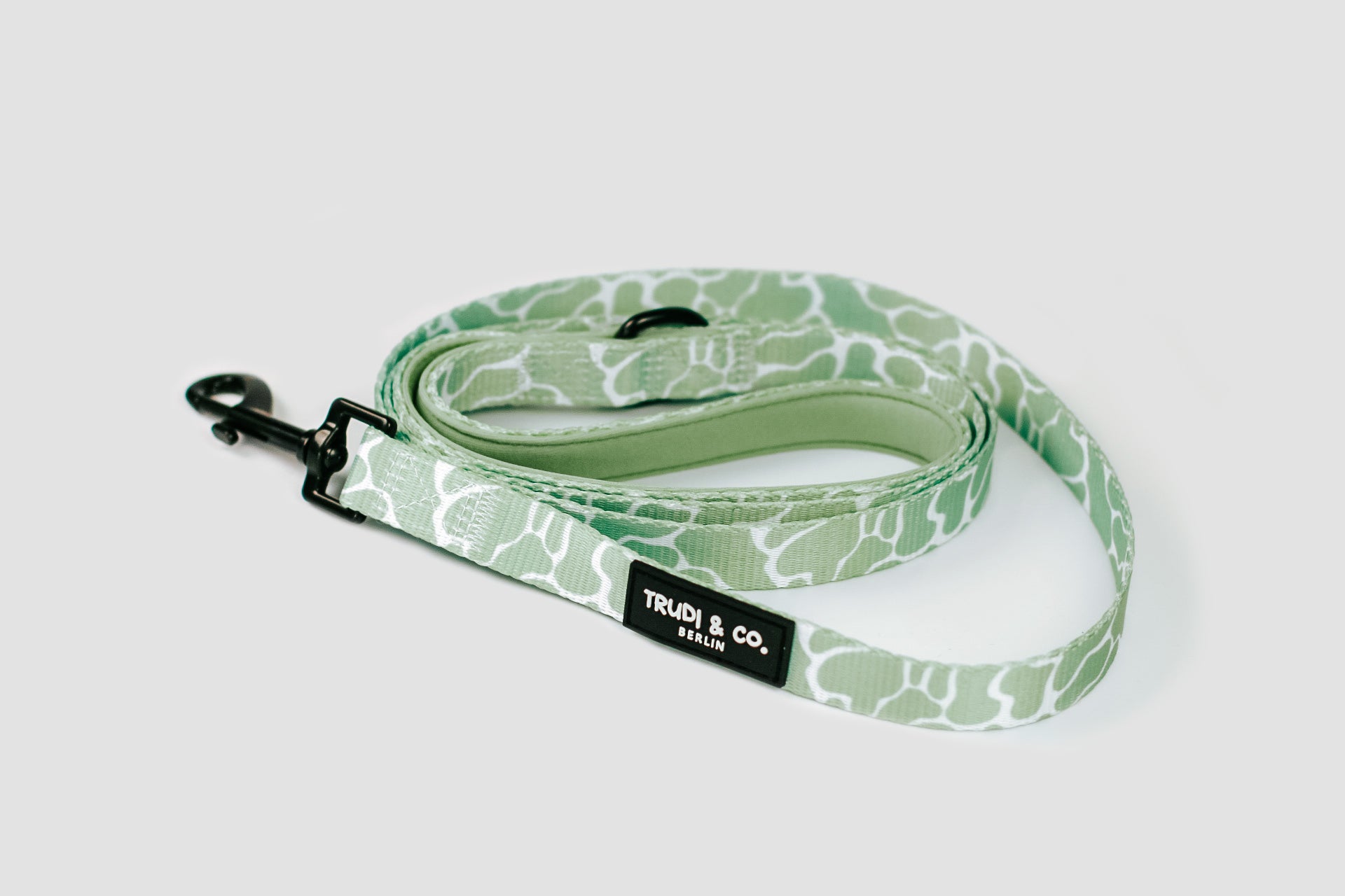 Set Hundeaccessoires bestehend aus Geschirr, Leine, Halsband, Kotbeutelspender in Schlangen Optik Design in mint grün salbei