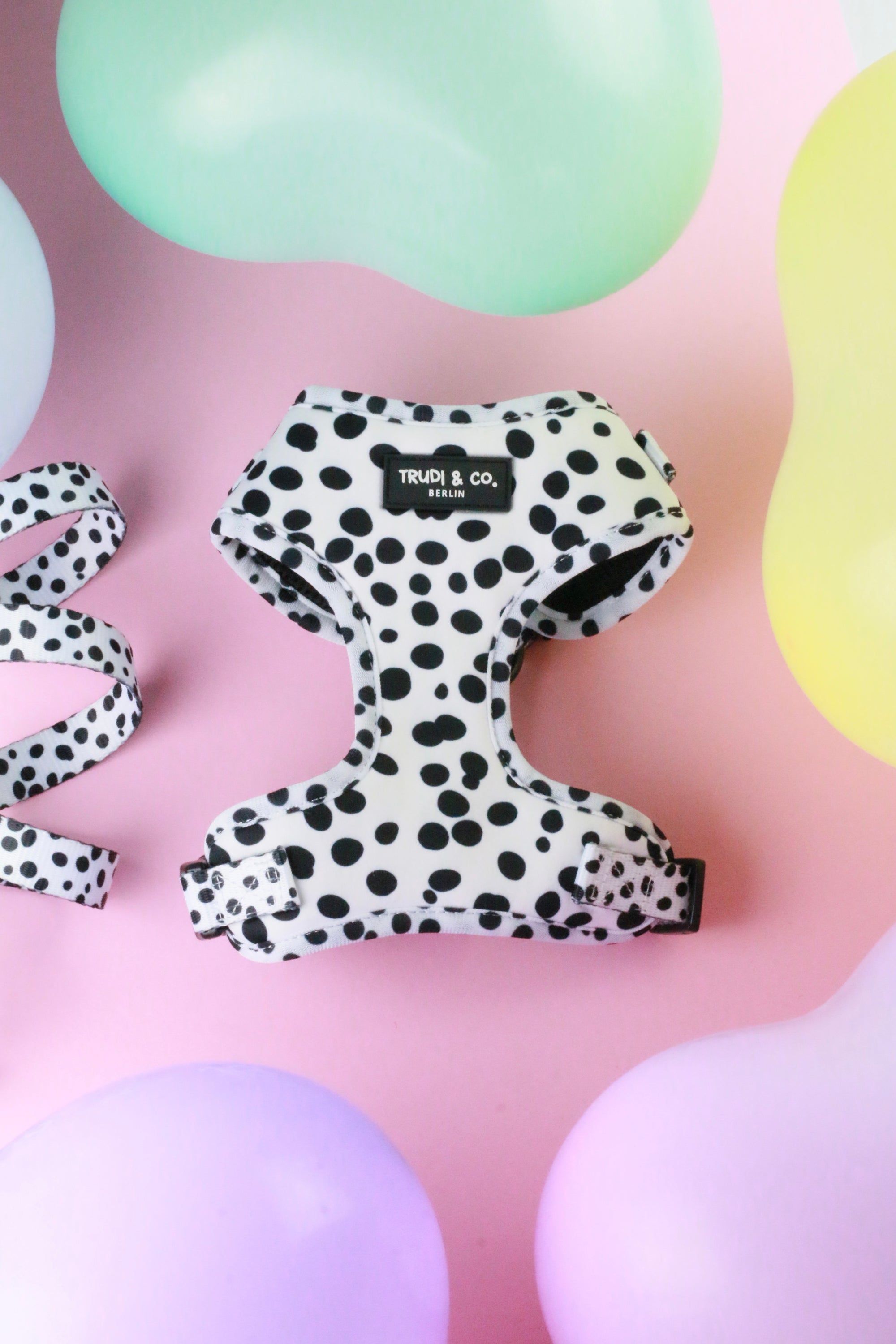 Hundegeschirr „Dalmatian Nation“