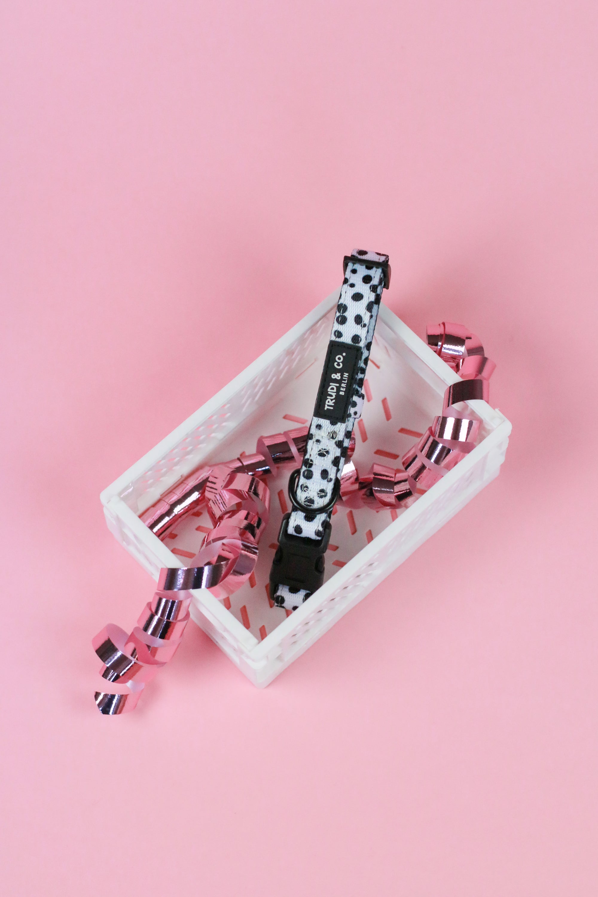 Hundehalsband „Dalmatian Nation“